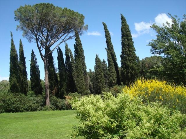 Al Giardino Degli Etruschi Guest House Chiusi Room photo
